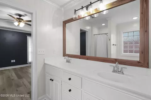 Bath - 286 Azalea Ct, Brandon, MS 39047 photo 2 of 3