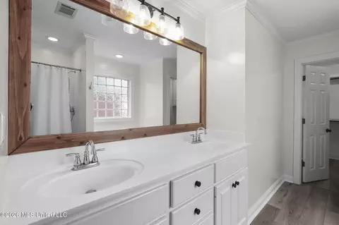 Bath - 286 Azalea Ct, Brandon, MS 39047 photo 1 of 3