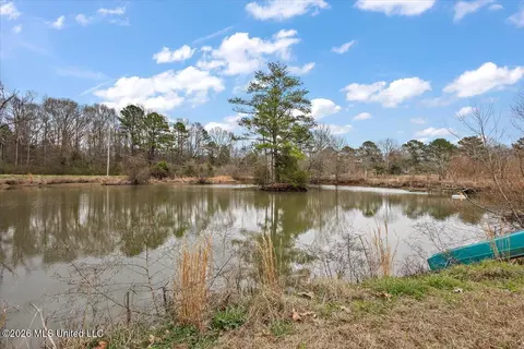 View/Area - 1153 Owens Rd, Terry, MS 39170 photo 1 of 1