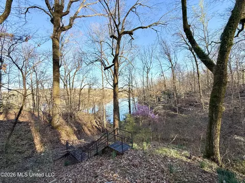 View/Area - 11664 Oak Dr, Hernando, MS 38632 photo 1 of 4