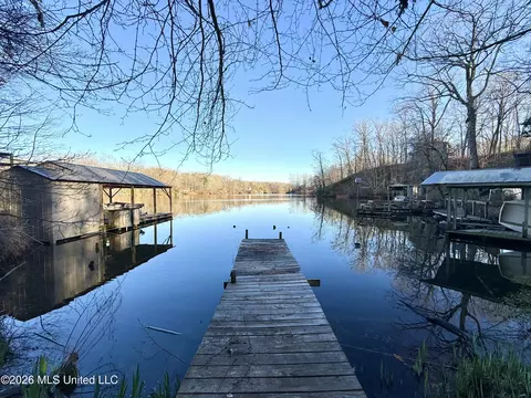 View/Area - 11664 Oak Dr, Hernando, MS 38632 photo 4 of 4