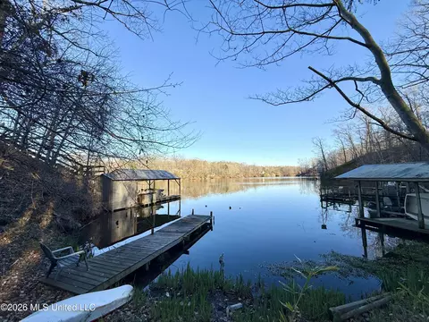View/Area - 11664 Oak Dr, Hernando, MS 38632 photo 3 of 4