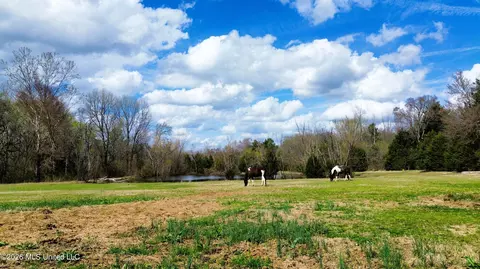 Other - 286 Caleb Ln, Coldwater, MS 38618 photo 22 of 22