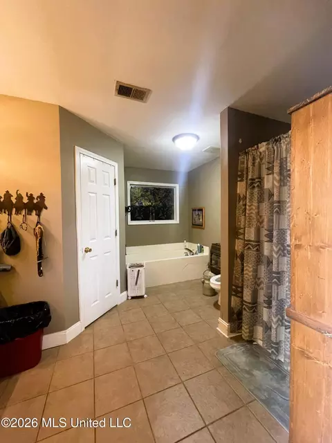 Bath - 286 Caleb Ln, Coldwater, MS 38618 photo 1 of 7