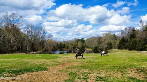Other - 286 Caleb Ln, Coldwater, MS 38618 photo 21 of 22