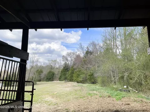 Exterior - 286 Caleb Ln, Coldwater, MS 38618 photo 7 of 10