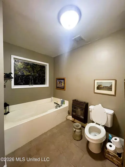 Bath - 286 Caleb Ln, Coldwater, MS 38618 photo 3 of 7