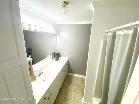 Bath - 1012 Stonehendge Dr, Brandon, MS 39042 photo 2 of 2