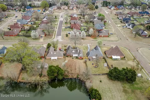 View/Area - 9209 Hickory Dr, Olive Branch, MS 38654 photo 3 of 4