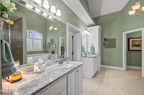 Bath - 512 Susannah Dr, Brandon, MS 39047 photo 3 of 9
