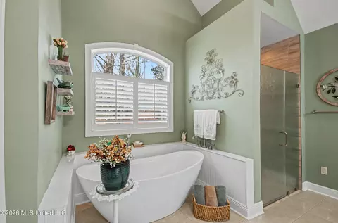 Bath - 512 Susannah Dr, Brandon, MS 39047 photo 5 of 9