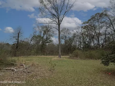 Other - 1278 Hillard Howell Rd, Lucedale, MS 39452 photo 7 of 8