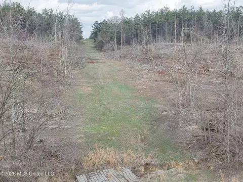 001 Lane Rd, Cascilla, MS 38920 photo 3