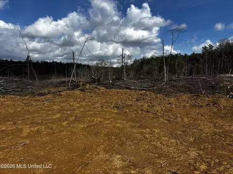 001 Lane Rd, Cascilla, MS 38920 photo 8
