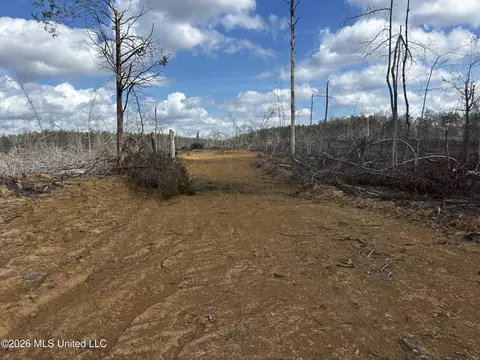 001 Lane Rd, Cascilla, MS 38920 photo 10