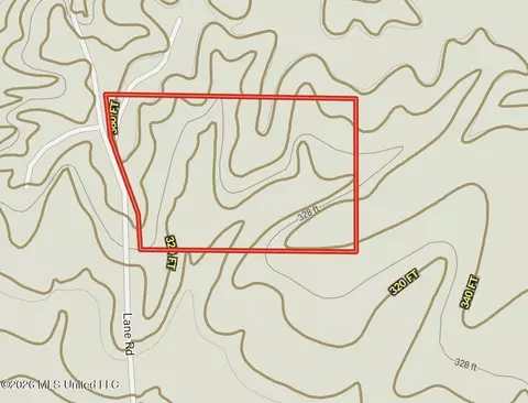 001 Lane Rd, Cascilla, MS 38920 photo 12
