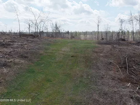 001 Lane Rd, Cascilla, MS 38920 photo 2
