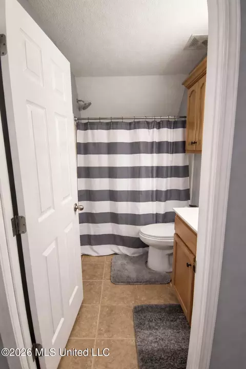 Bath - 6459 Carson Dr, Olive Branch, MS 38654 photo 3 of 5