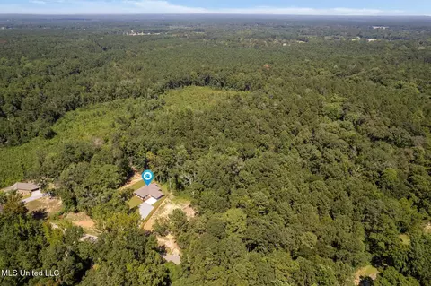 24 Atkinson Rd, Sumrall, MS 39482 photo 39