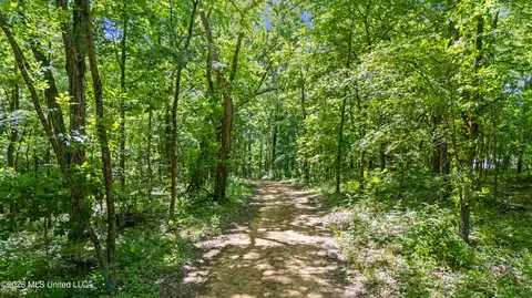 Other - 1762 Smart Rd, Como, MS 38619 photo 20 of 22