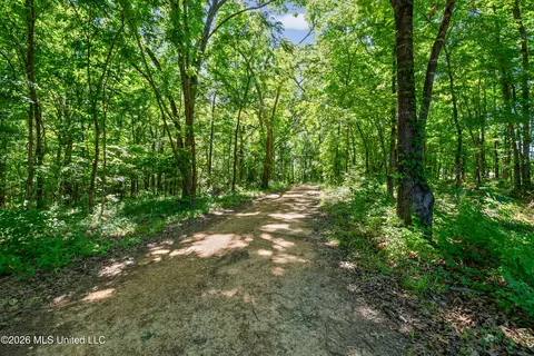Other - 1762 Smart Rd, Como, MS 38619 photo 10 of 22