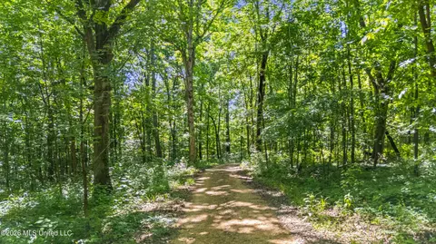 Other - 1762 Smart Rd, Como, MS 38619 photo 17 of 22
