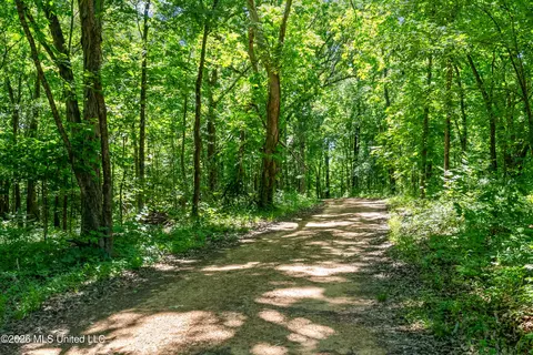 Other - 1762 Smart Rd, Como, MS 38619 photo 13 of 22