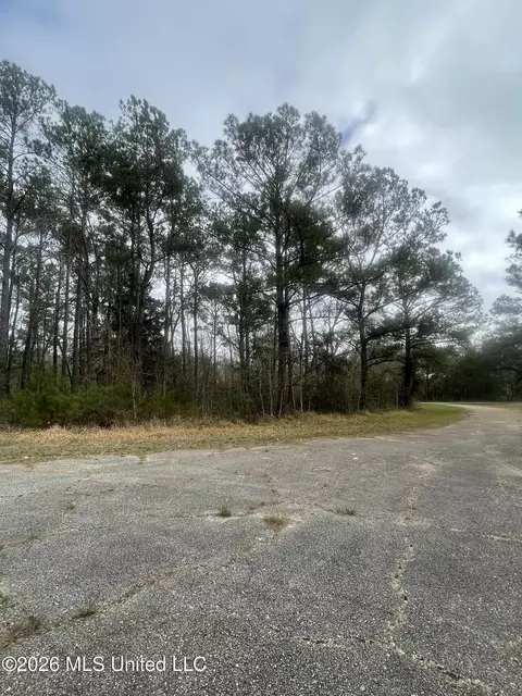 Sand Pine Cove, Gautier, MS 39553 photo 5