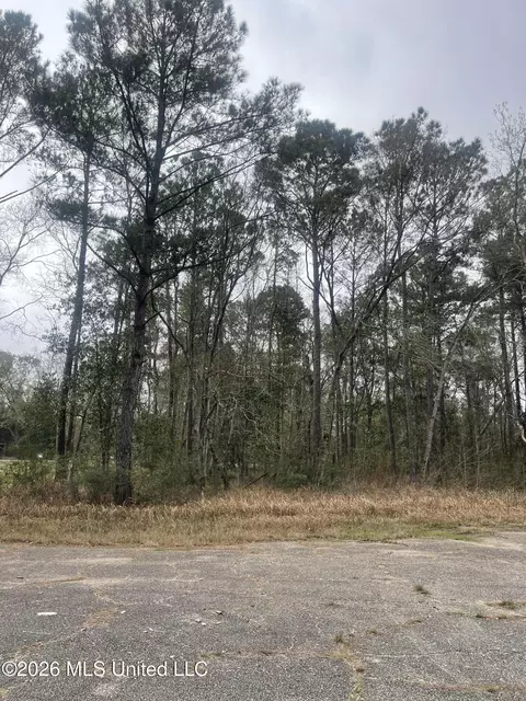 Sand Pine Cove, Gautier, MS 39553 photo 7