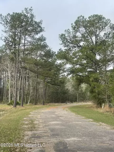 Sand Pine Cove, Gautier, MS 39553 photo 4