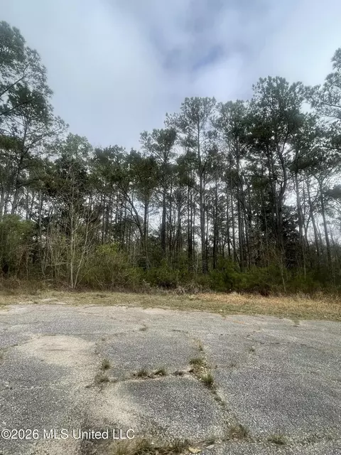 Sand Pine Cove, Gautier, MS 39553 photo 6