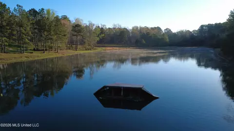 0 Star Rd, Brandon, MS 39042 photo 20