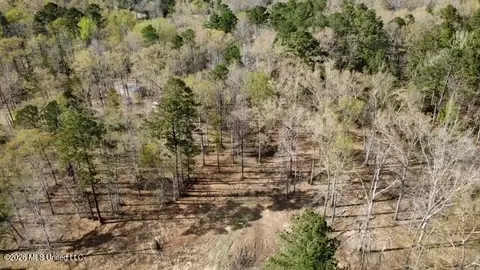 0 Star Rd, Brandon, MS 39042 photo 6