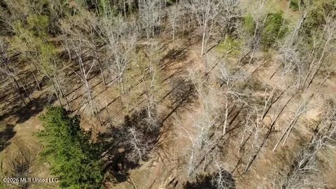0 Star Rd, Brandon, MS 39042 photo 7