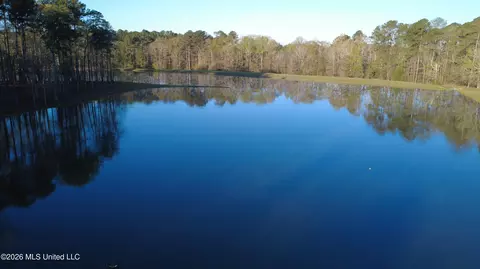 0 Star Rd, Brandon, MS 39042 photo 19