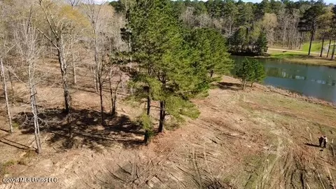 0 Star Rd, Brandon, MS 39042 photo 10
