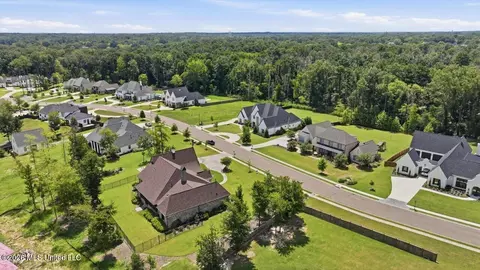 View/Area - 214 Ashworth Cir, Madison, MS 39110 photo 5 of 12