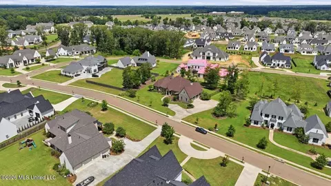 View/Area - 214 Ashworth Cir, Madison, MS 39110 photo 9 of 12