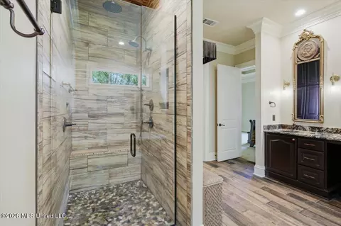 Bath - 214 Ashworth Cir, Madison, MS 39110 photo 8 of 8