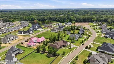 View/Area - 214 Ashworth Cir, Madison, MS 39110 photo 11 of 12