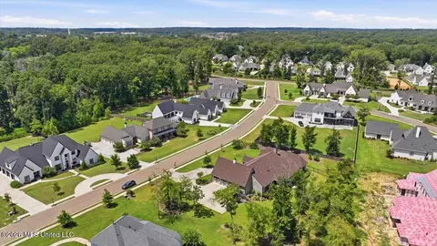 View/Area - 214 Ashworth Cir, Madison, MS 39110 photo 7 of 12