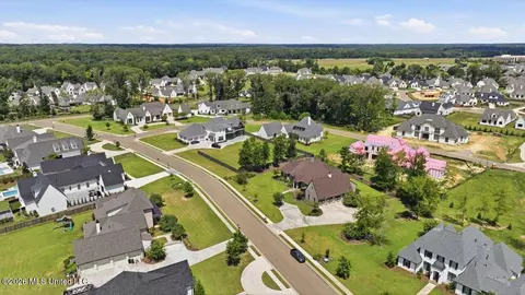 View/Area - 214 Ashworth Cir, Madison, MS 39110 photo 8 of 12