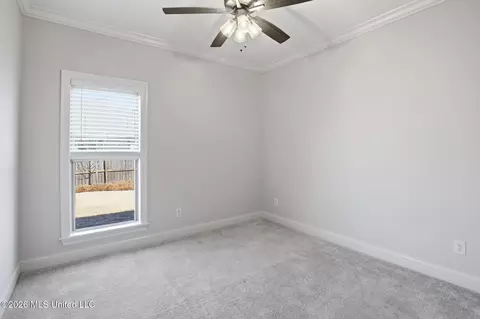 Other - 204 Ashbury Cv, Canton, MS 39046 photo 9 of 16