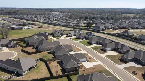 View/Area - 204 Ashbury Cv, Canton, MS 39046 photo 5 of 6