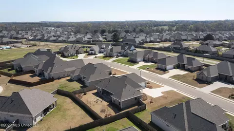 View/Area - 204 Ashbury Cv, Canton, MS 39046 photo 3 of 6