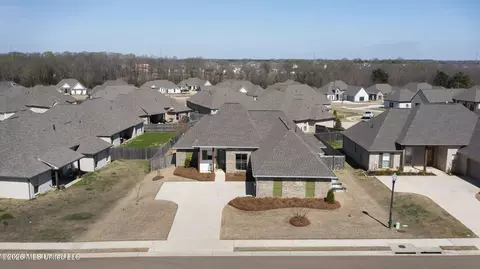 View/Area - 204 Ashbury Cv, Canton, MS 39046 photo 1 of 6