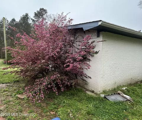 Exterior - 605 E Chickasaw St, Brookhaven, MS 39601 photo 4 of 5