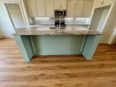 Kitchen - 522 Portner Way, Canton, MS 39046 photo 3 of 3