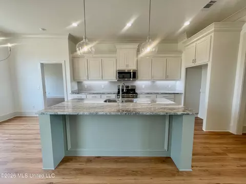 Kitchen - 522 Portner Way, Canton, MS 39046 photo 2 of 3