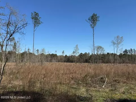 00 Bilbrew Rd, Pisgah, MS 39047